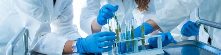 Kimya Mühendisleri İçin Akademik Kariyer Seçenekleri