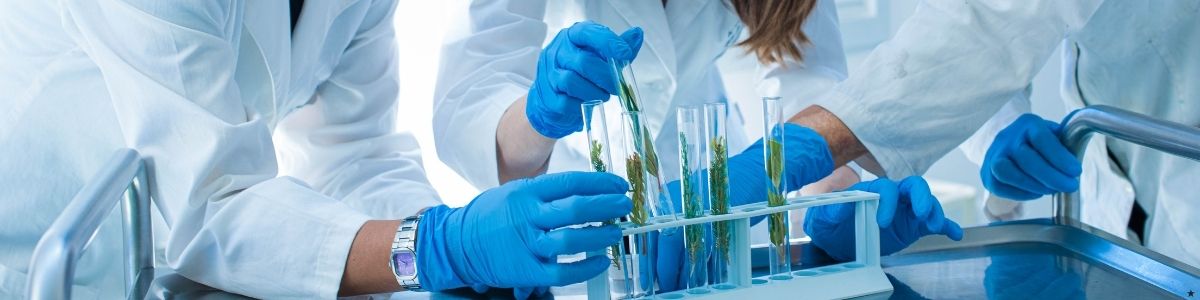 Kimya Mühendisleri İçin Akademik Kariyer Seçenekleri