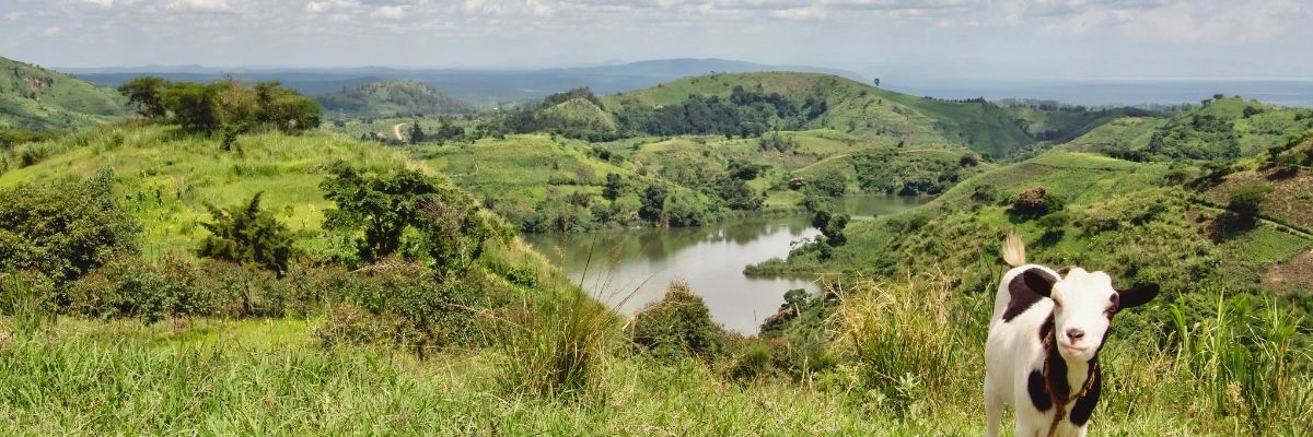 Geleceğin Gıda Üretimi Kimya Mühendisliği Perspektifi